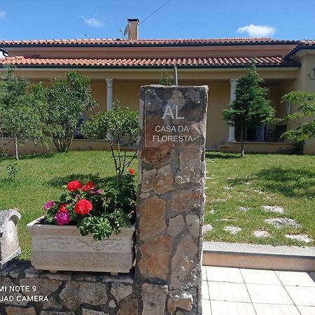 Casa Da Floresta Santiago da Guarda Dış mekan fotoğraf