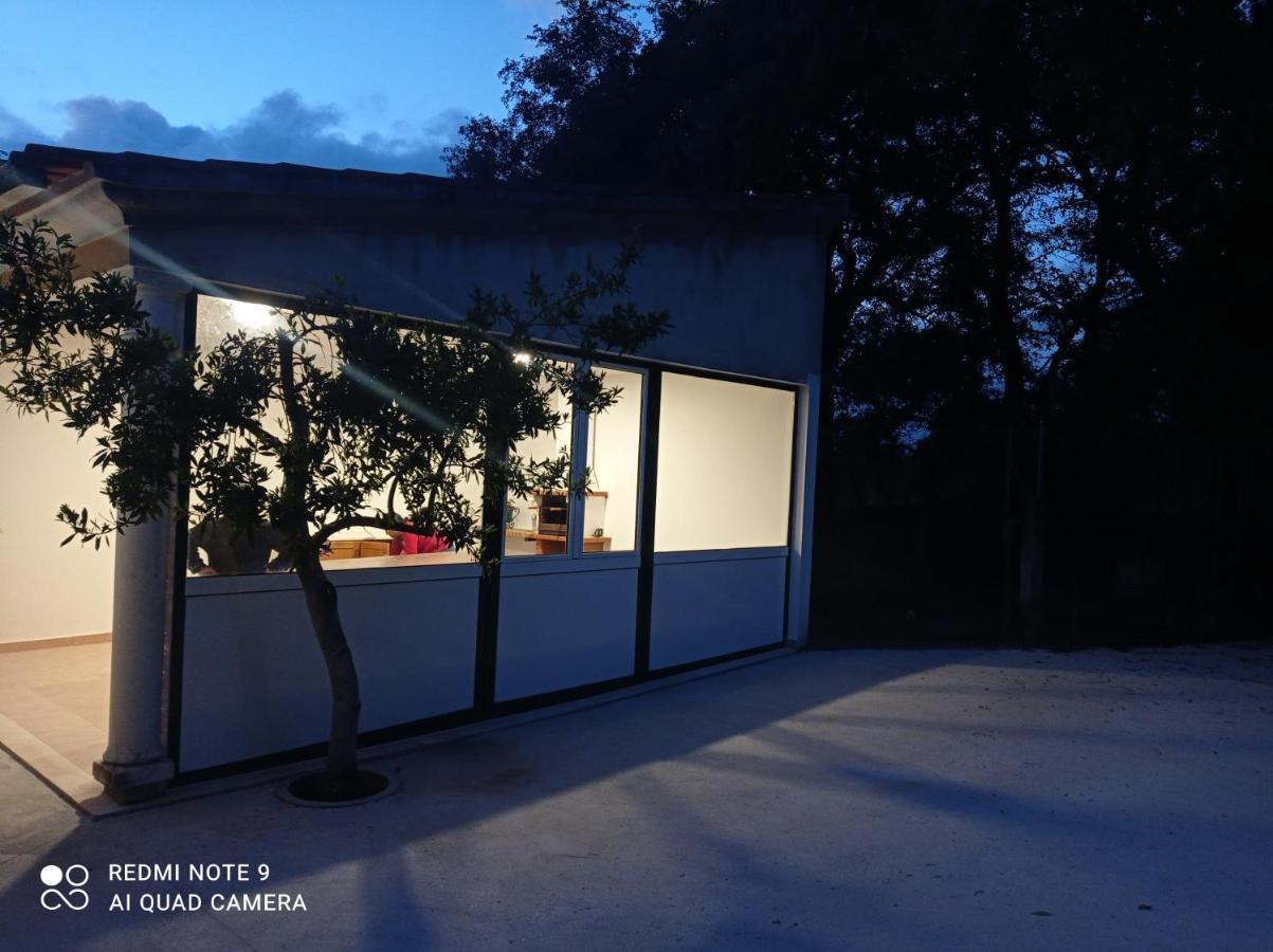 Casa Da Floresta Santiago da Guarda Dış mekan fotoğraf