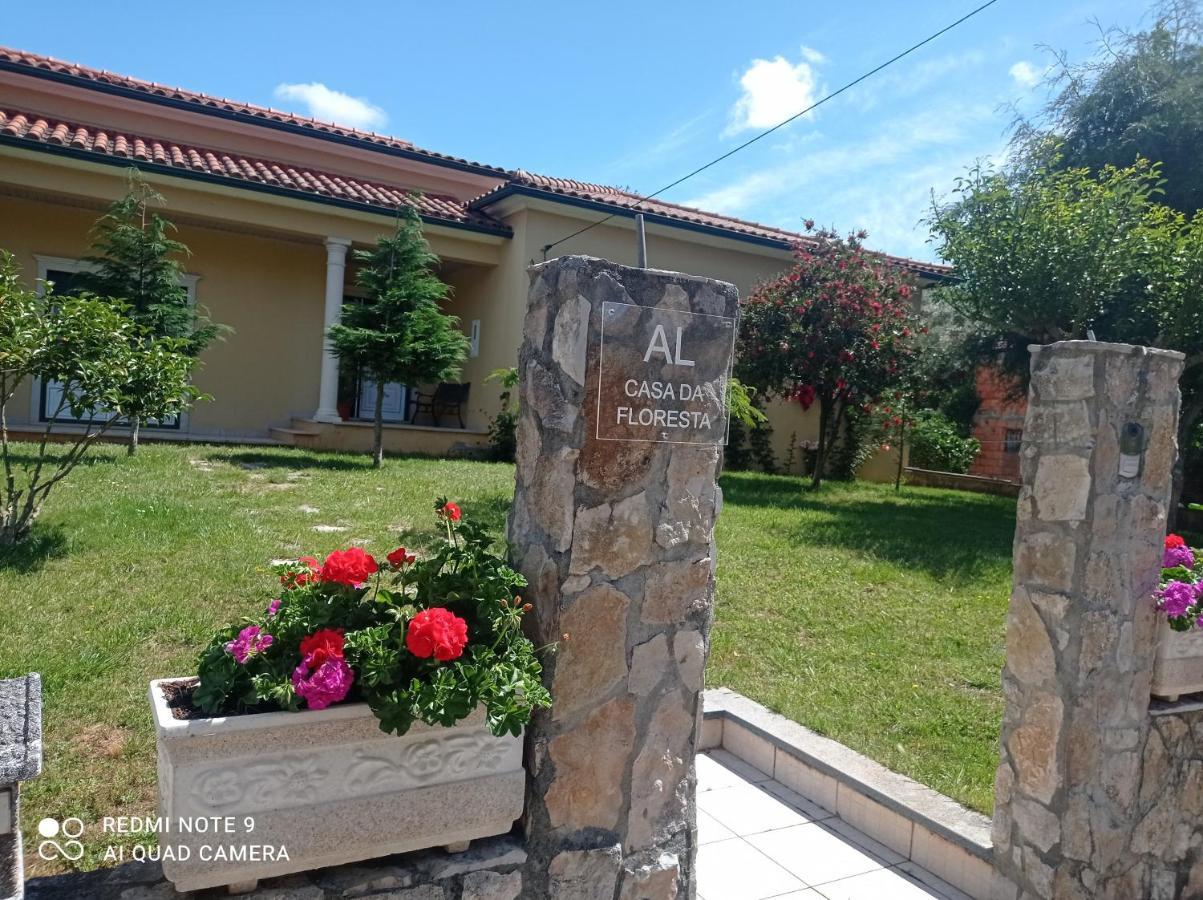 Casa Da Floresta Santiago da Guarda Dış mekan fotoğraf