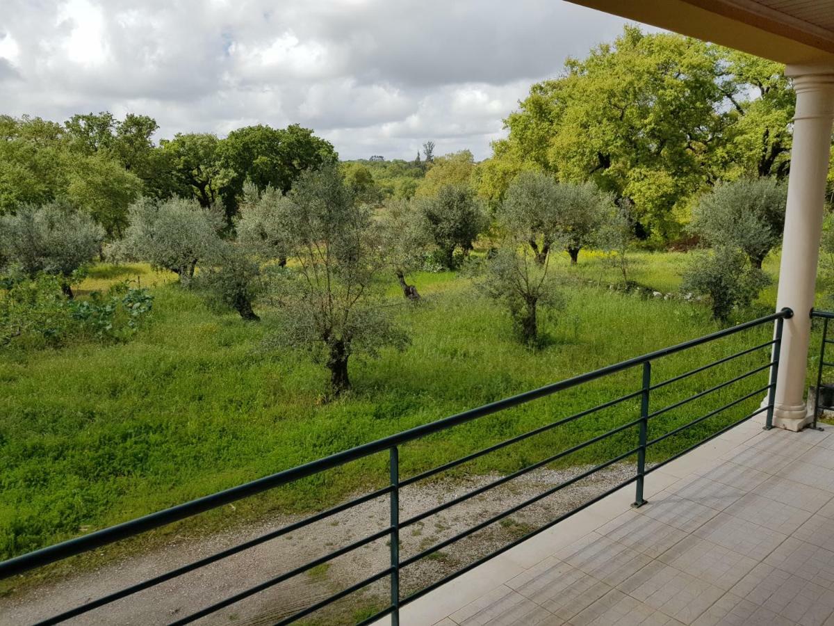 Casa Da Floresta Santiago da Guarda Dış mekan fotoğraf